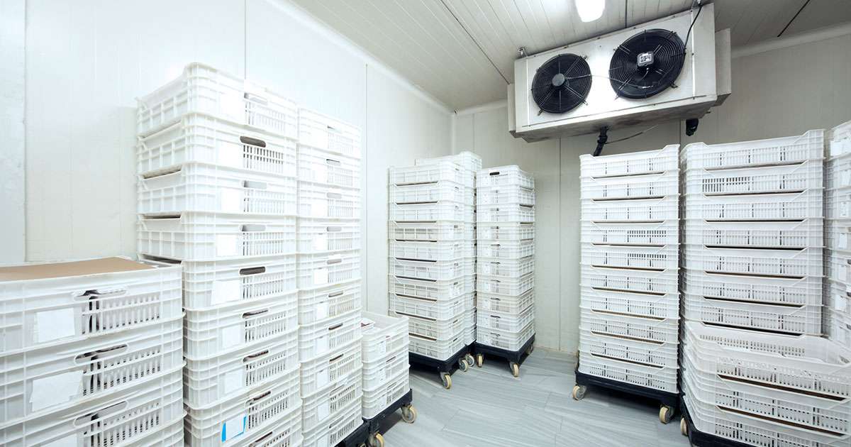 CRS-Cold-Storage-Surplus
